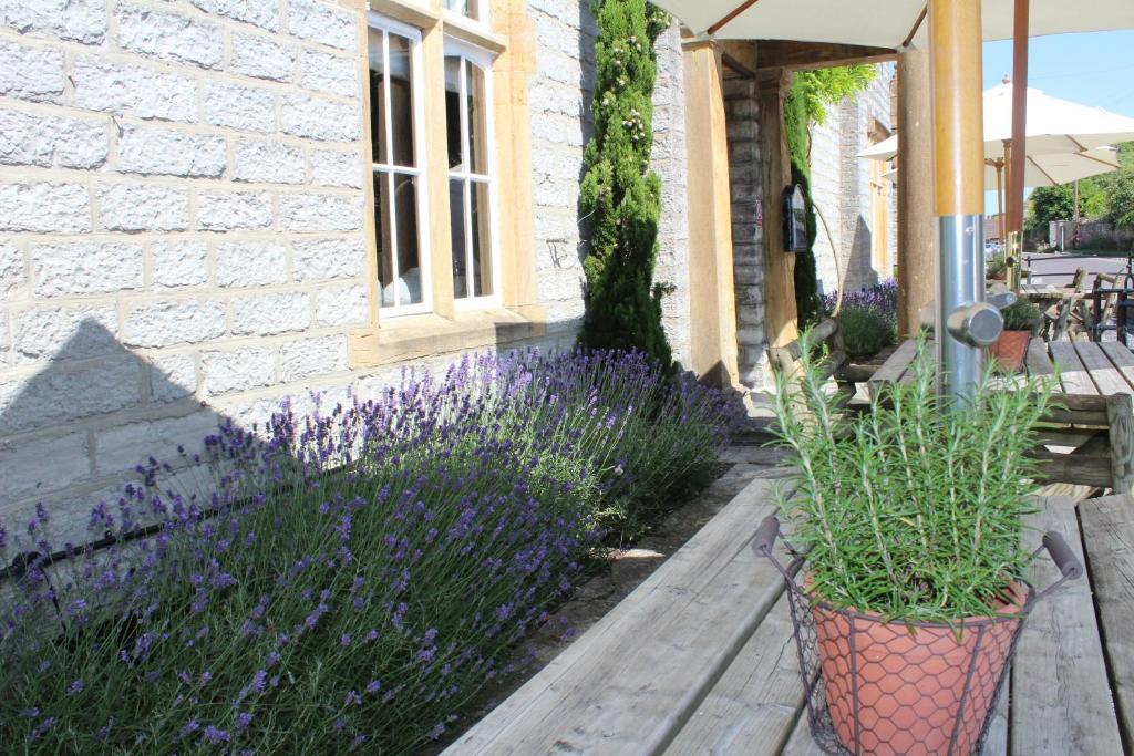 Inn Devonshire Arms Langport